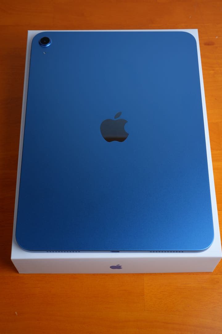 iPad(A16)/256GB/WiーFiモデル/極美品