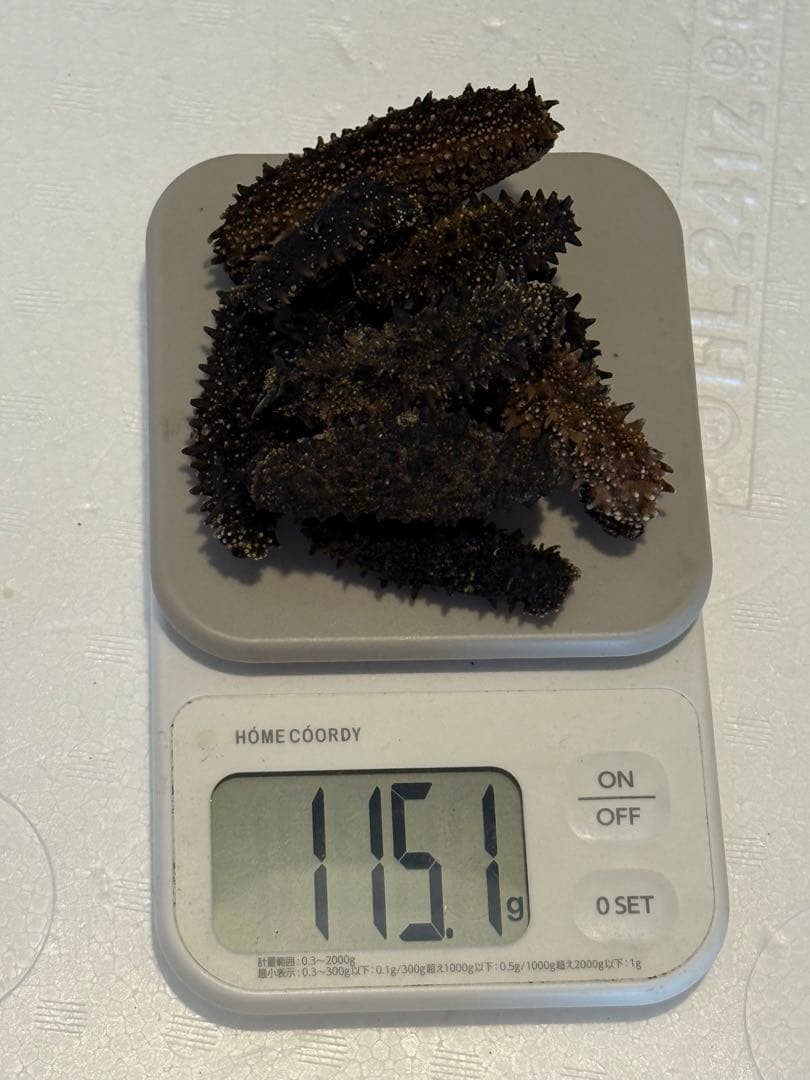 北海道産　乾燥海鼠ナマコ B品 形の良い訳あり品 100g