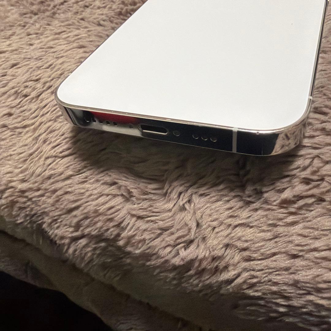 Apple iPhone 13 Pro 1TB シルバー [MLV33J/A]