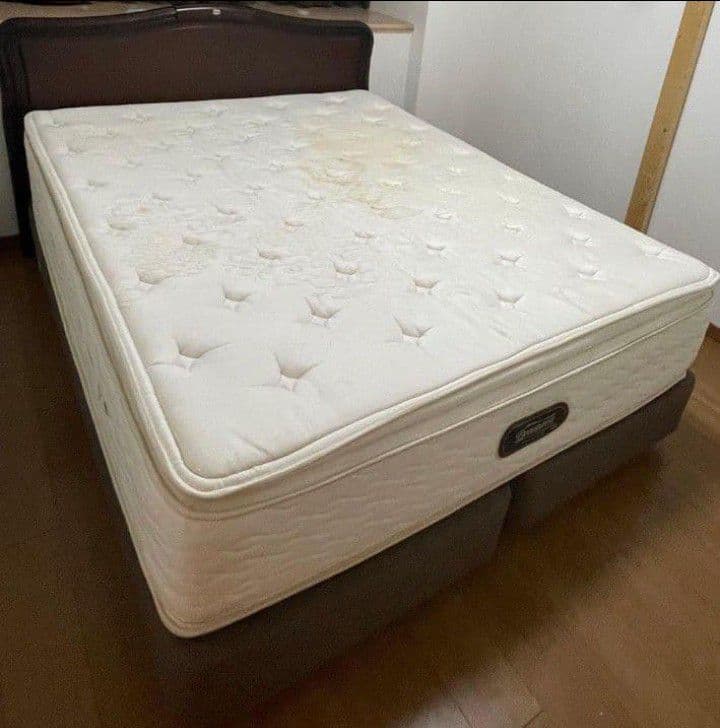 【Treasure】シモンズ　カスタムロイヤルマットレスのみクイーンサイズ