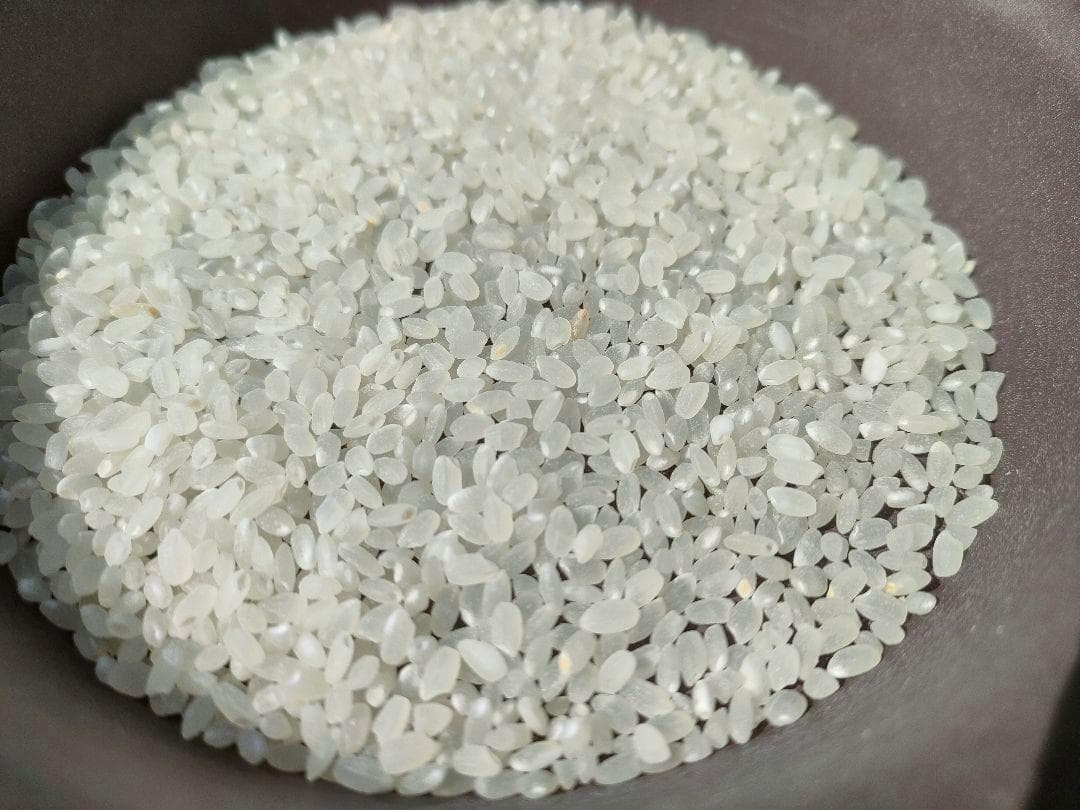 令和７年度兵庫県産 つきあかり 玄米30kg※精米可 本州・四国・九州は送料無料