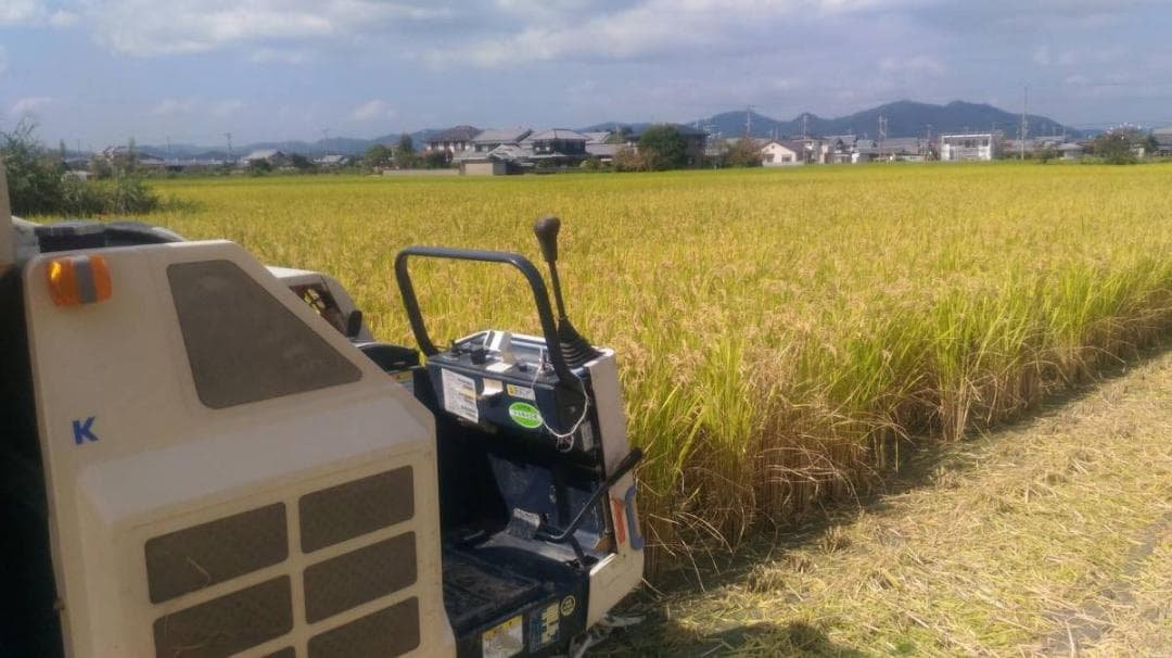 令和７年度兵庫県産 つきあかり 玄米30kg※精米可 本州・四国・九州は送料無料