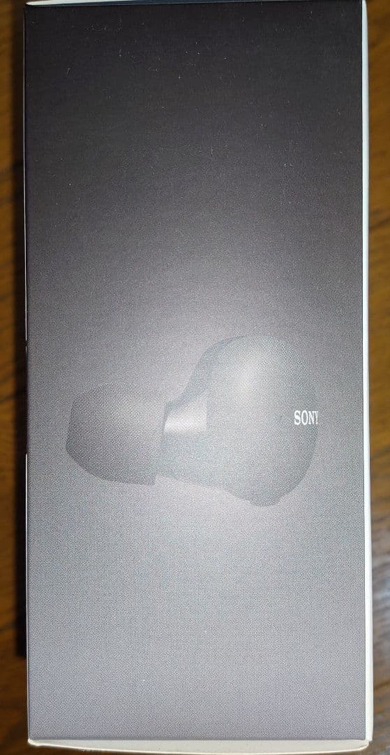 SONY WF-H800 ブラック ワイヤレスヘッドホン