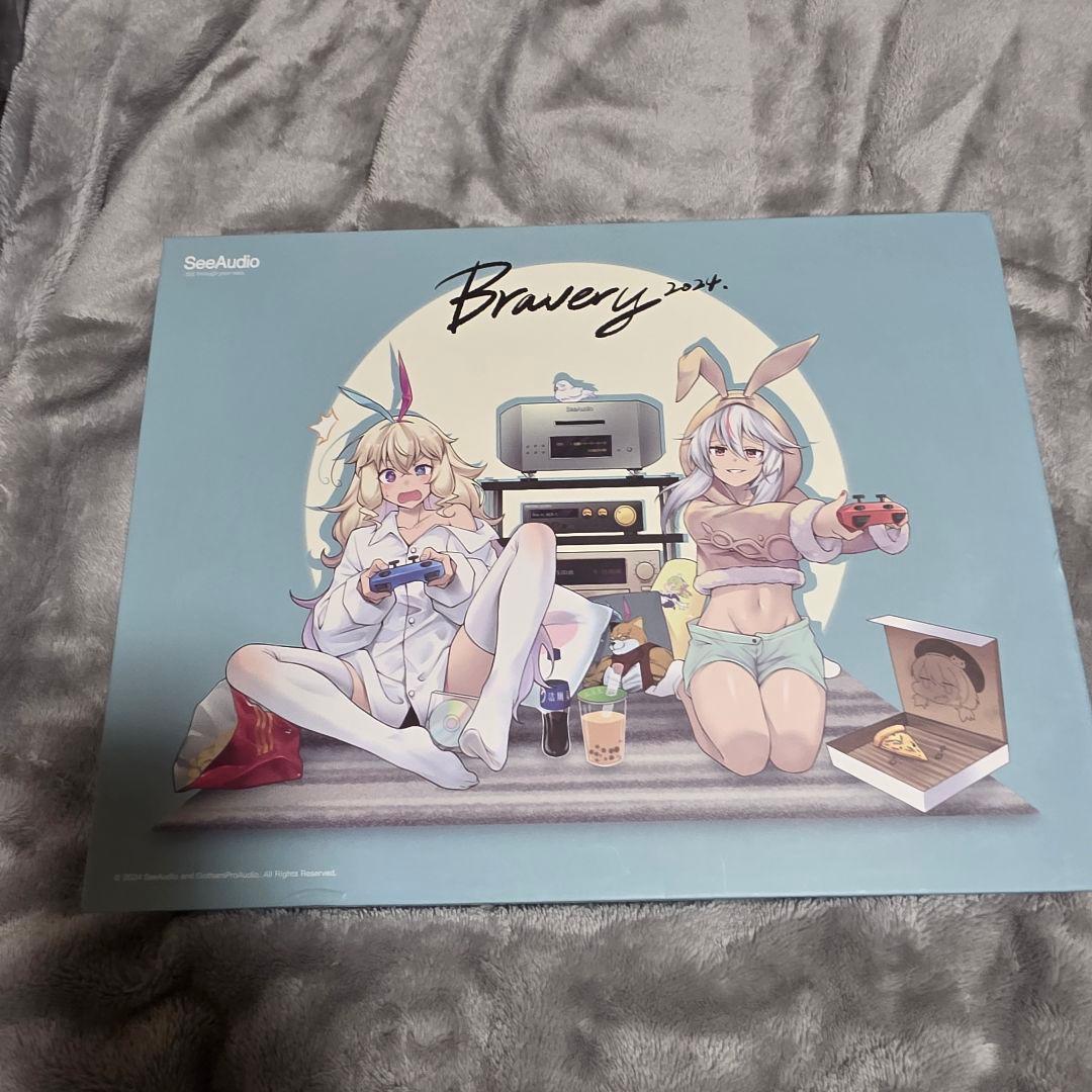 イヤホン SeeAudio Bravery 24