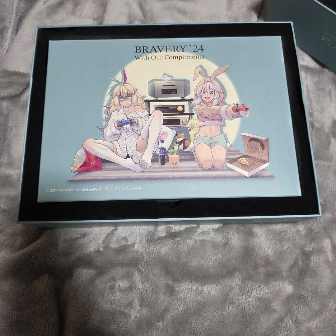 イヤホン SeeAudio Bravery 24