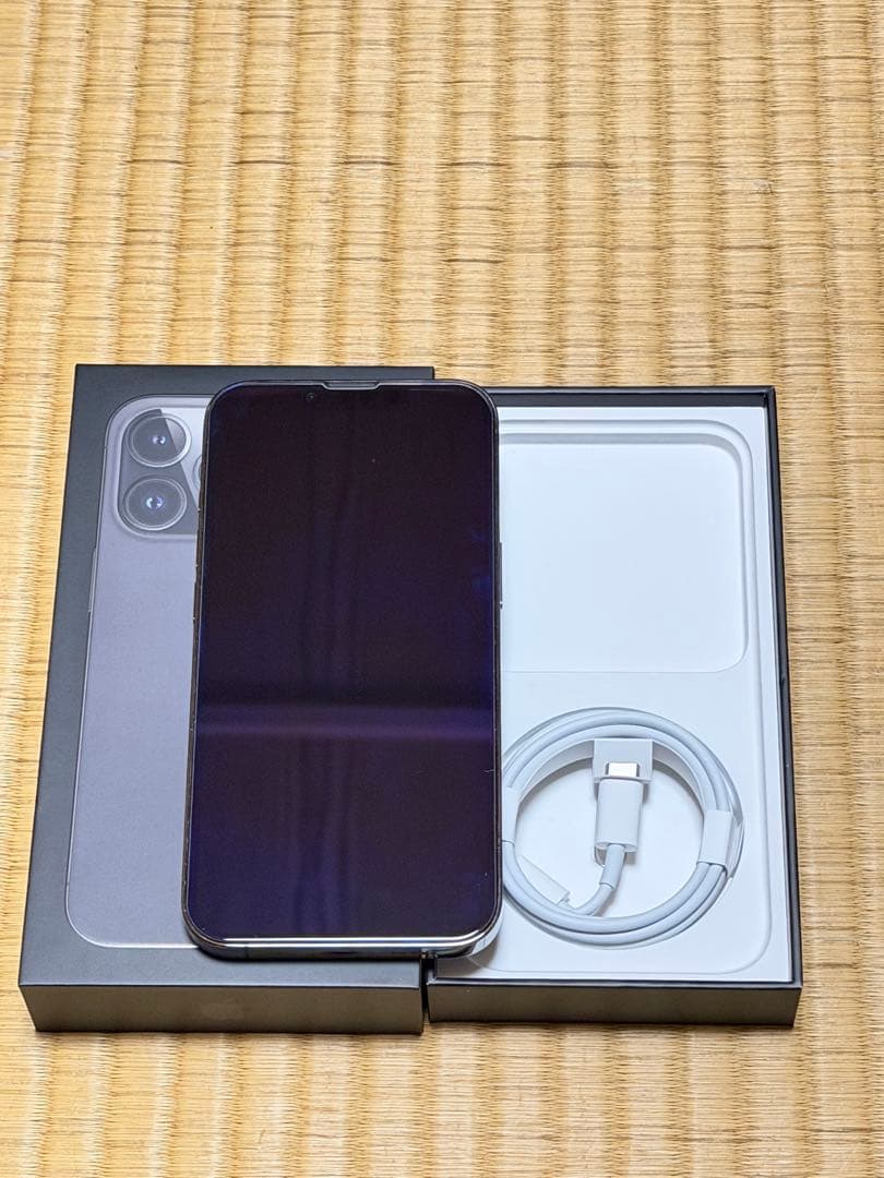 Apple iPhone 13 Pro シルバー 本体　256gb