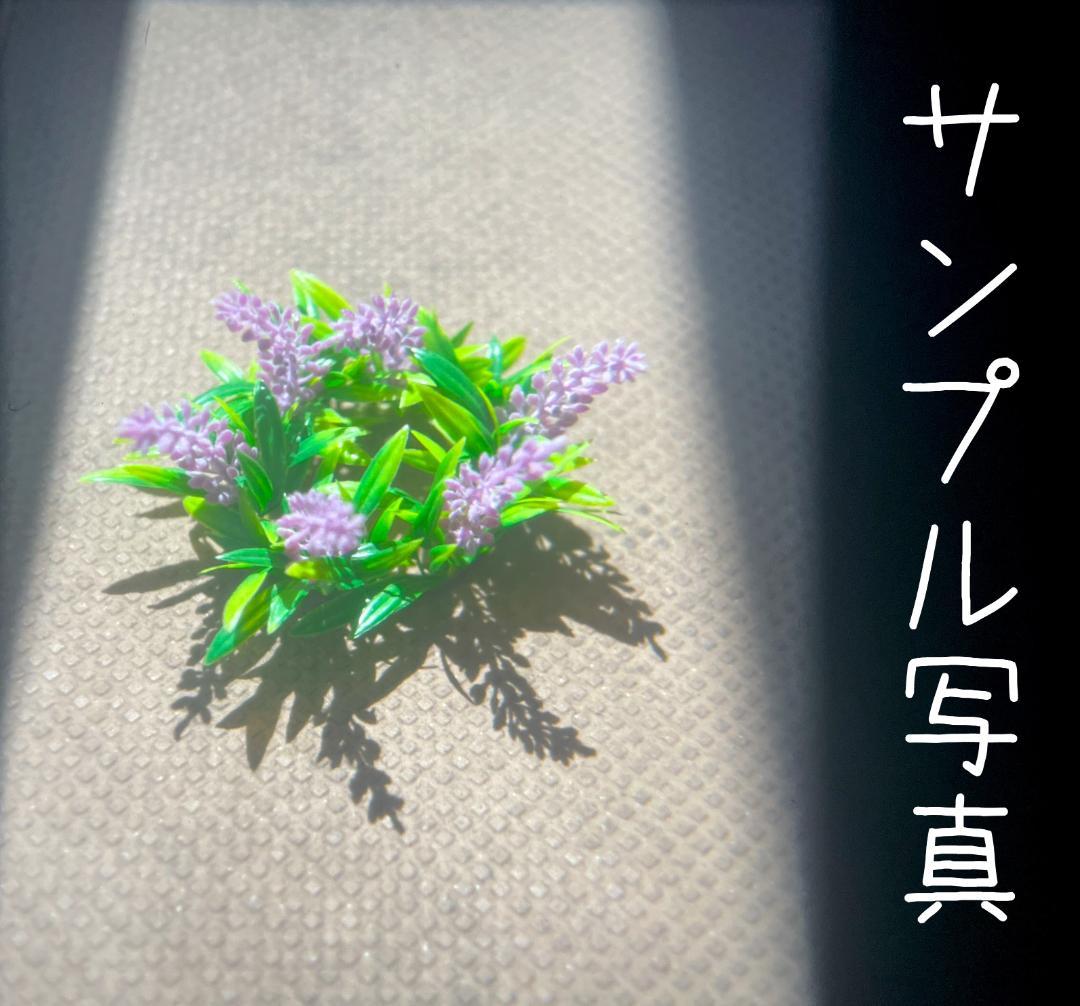 Olympus Pen D レンジファインダーカメラ