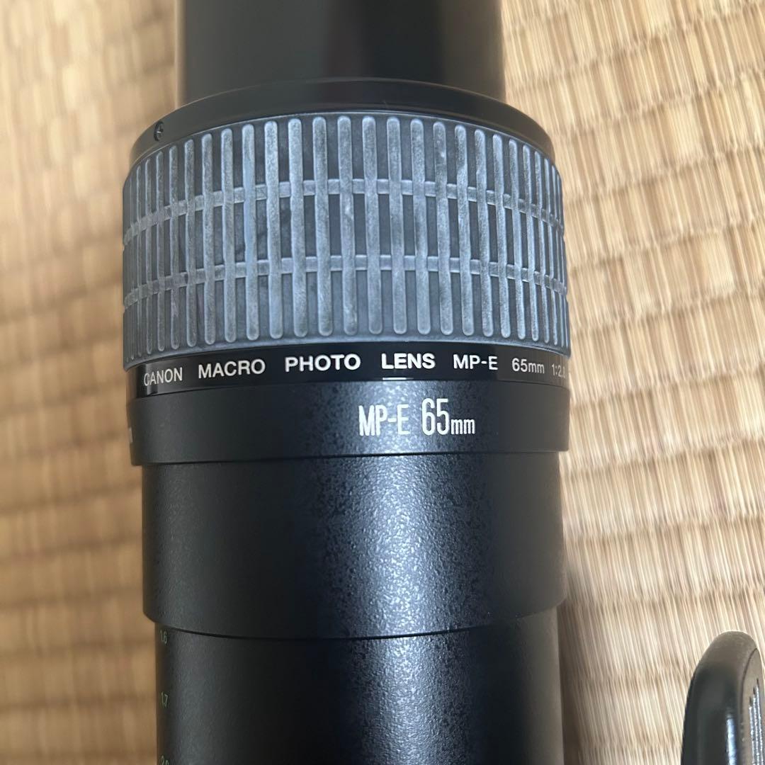 Canon MP-E 65mm マクロフォト