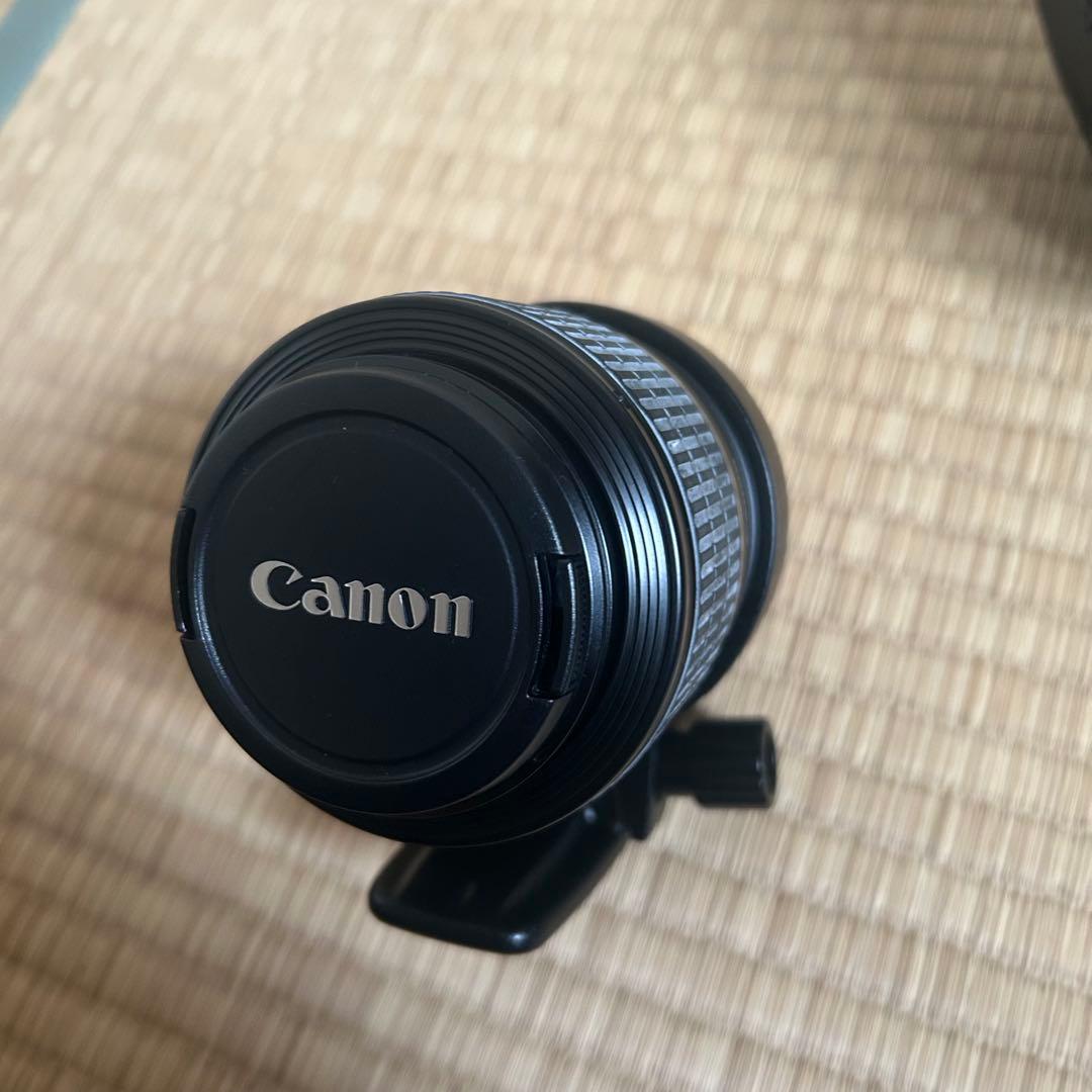 Canon MP-E 65mm マクロフォト