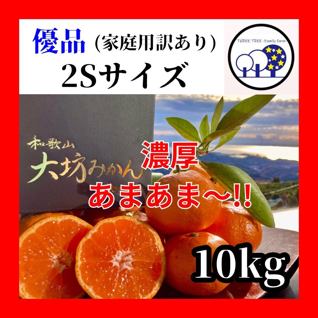 ②温州みかん 樹熟大坊みかん 優品(家庭用傷あり)2Sサイズ10kg