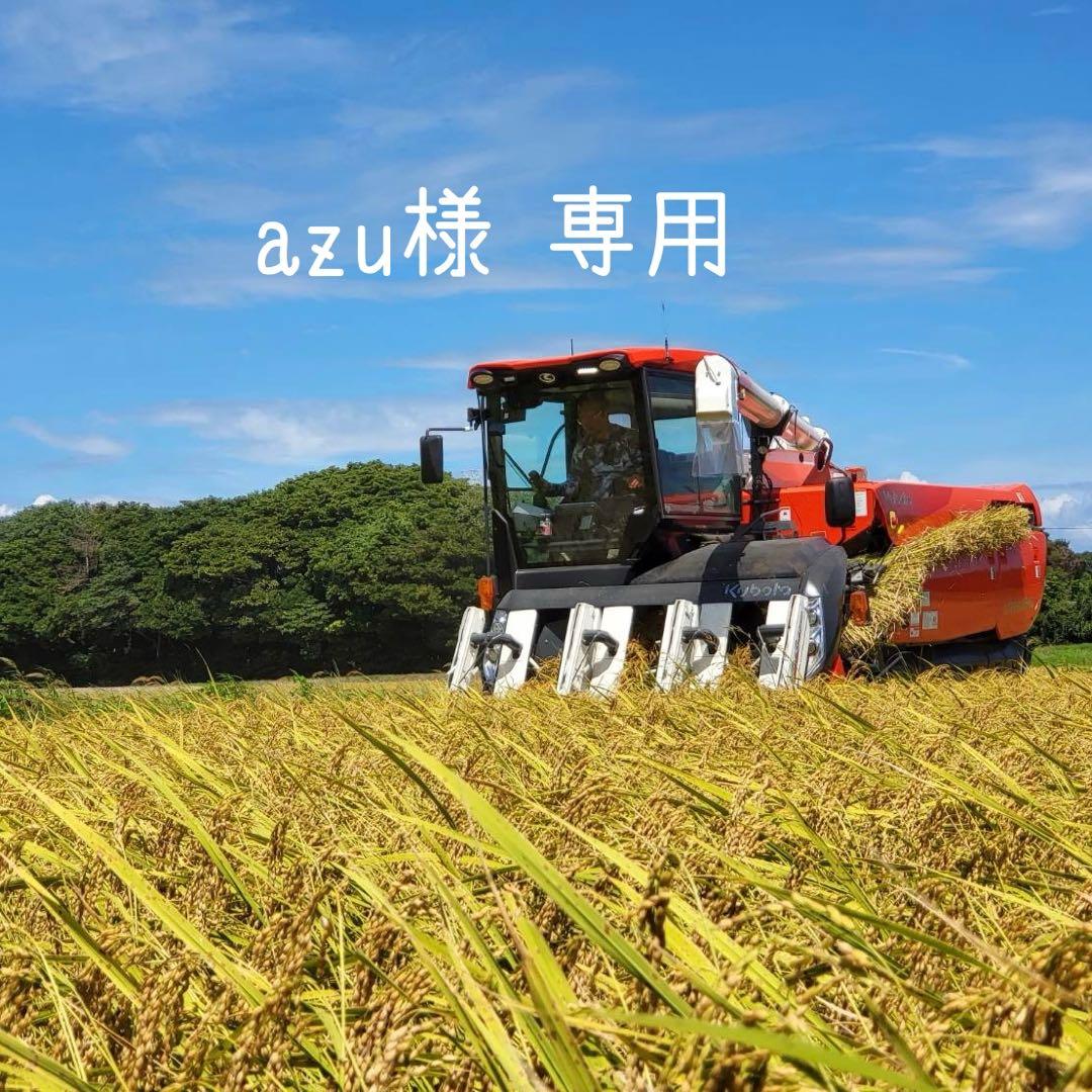 azu 白10 れんげ白10