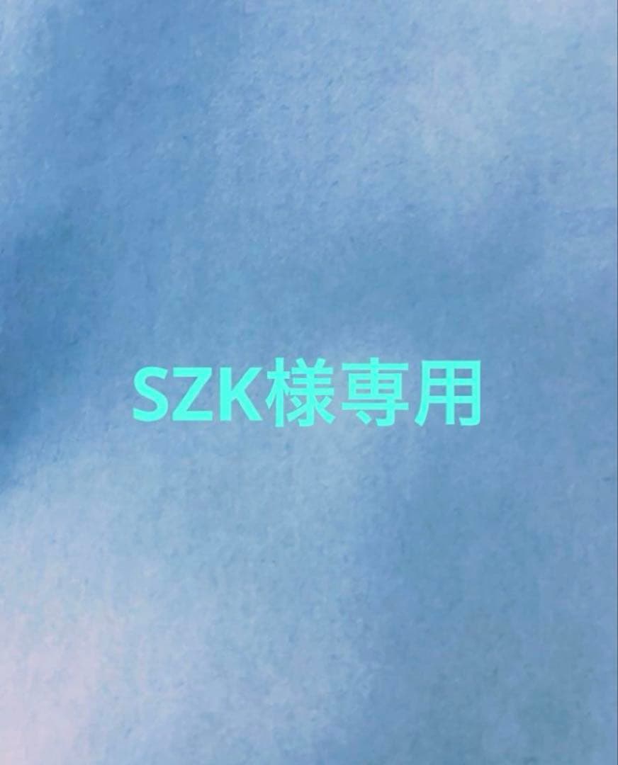 SZKページ