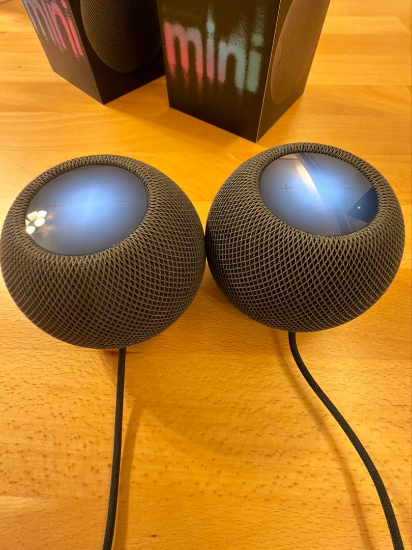 ⭐︎美品⭐︎Apple Pod mini スペースグレー 2台セット