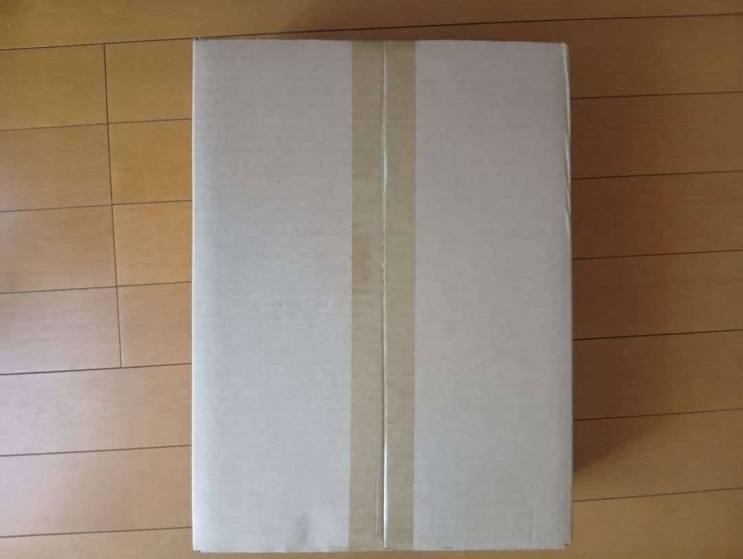 HUMAN MADE コンテナ 20L 青