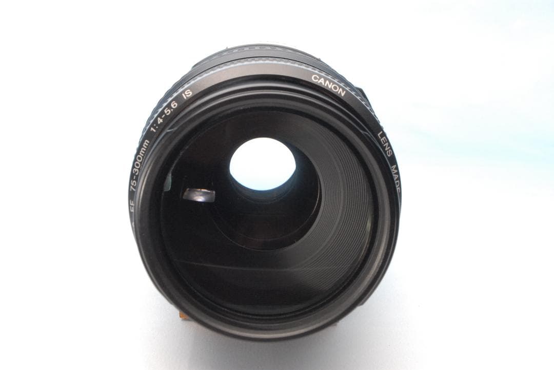 ✨超望遠✨美品 キヤノン 75-300mm IS USM レンズ フィルター付