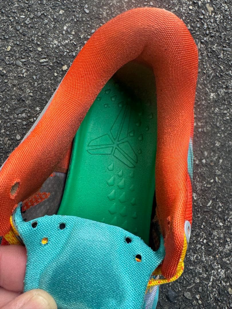 シューズ(男性用) Kobe 8 Protro Venice Beach