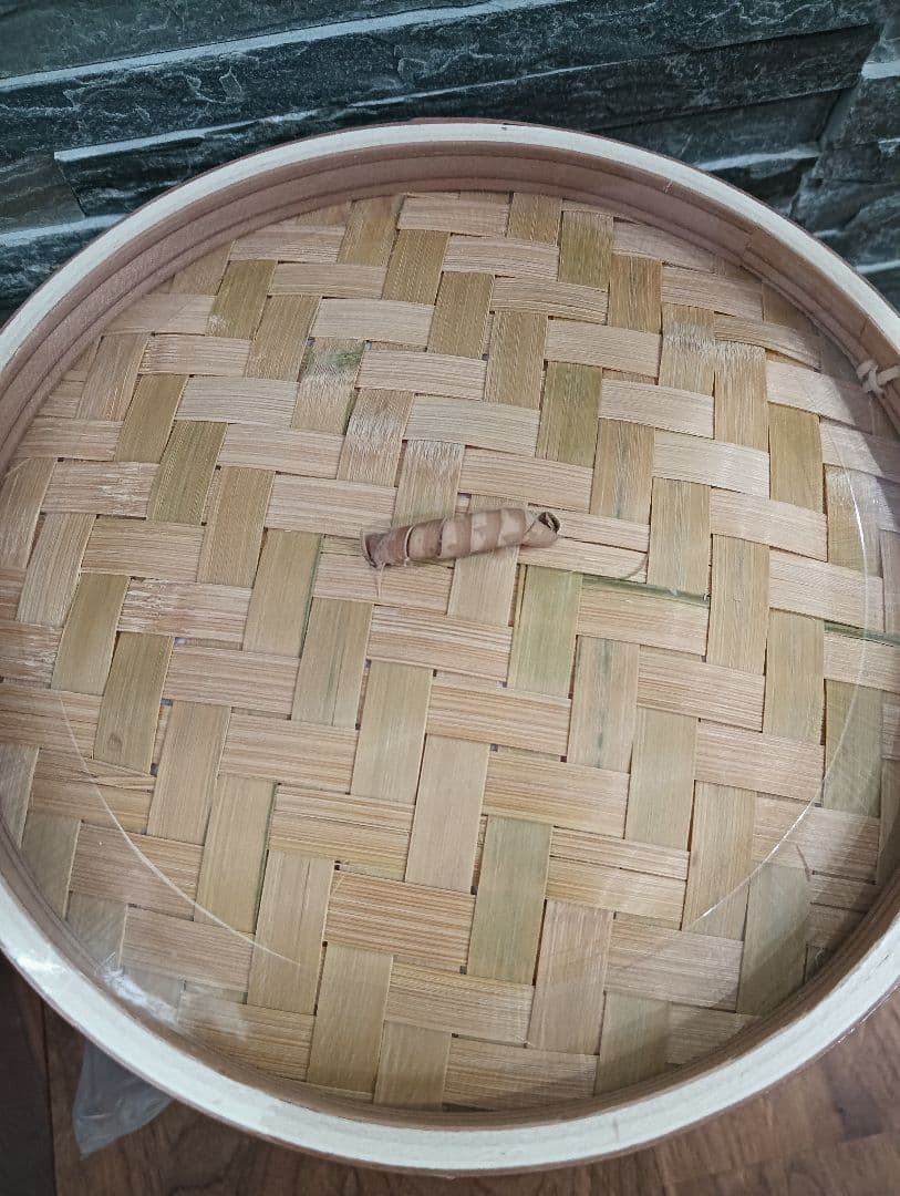 【新品未使用】エムケー精工 電気せいろTEGARU SEIRO EM-215K