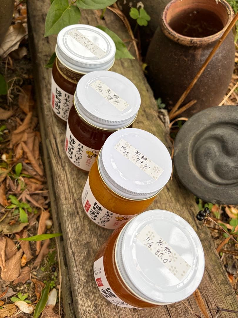 ハチミツ　日本蜜蜂の蜂蜜　巣箱違い谷違いの花粉入りはちみつ　奥山の奥
