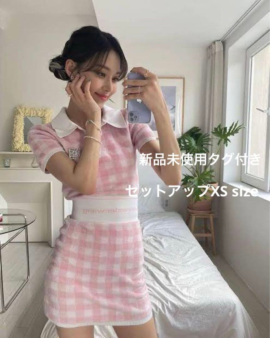 アレキサンダーワン　クロップド　ギンガムチェック　トップス　XS スカート