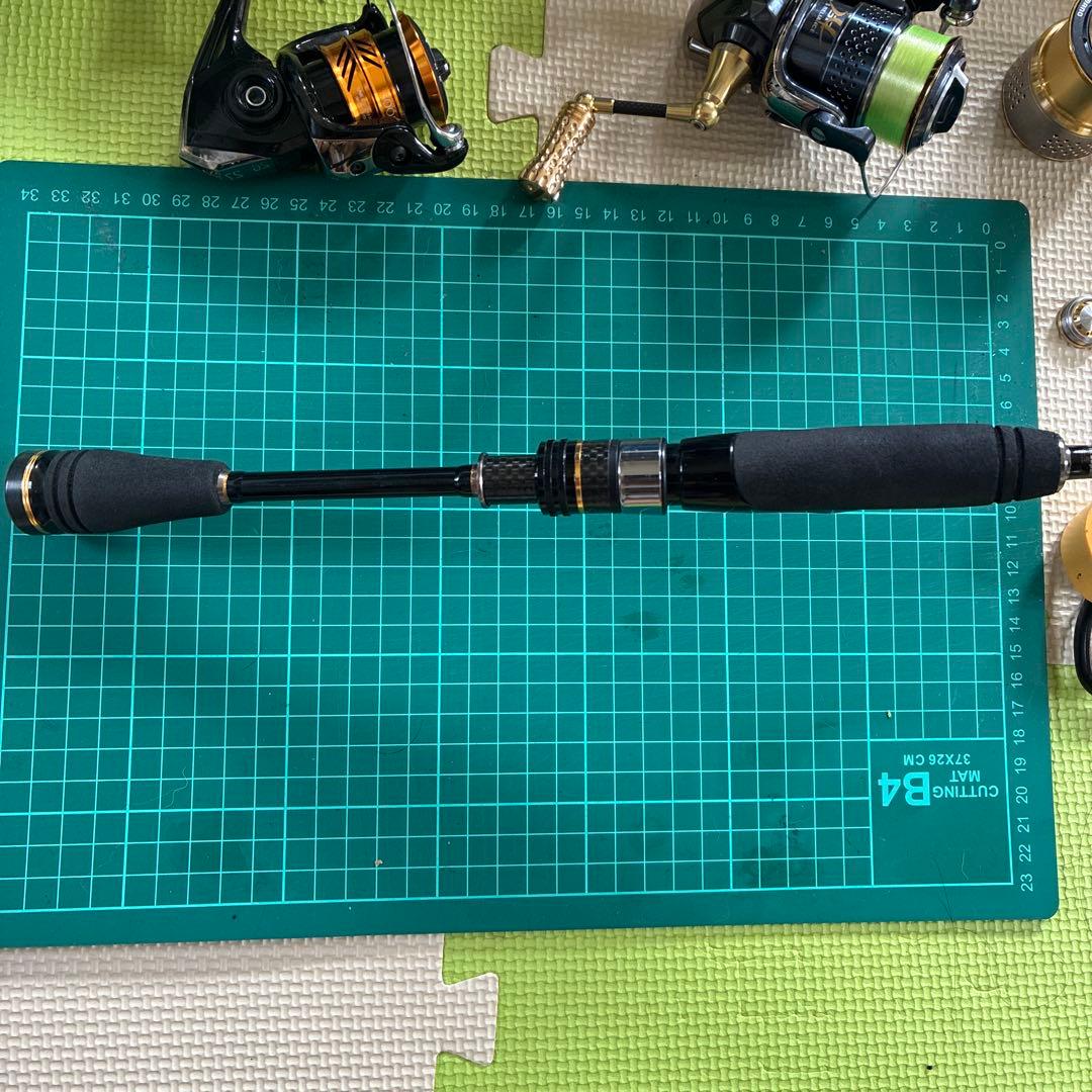 超希少 ダイコー ドルーグS66LS