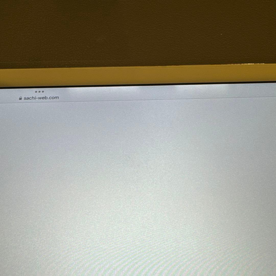 iPad Pro(12.9/第2世代/256GB）