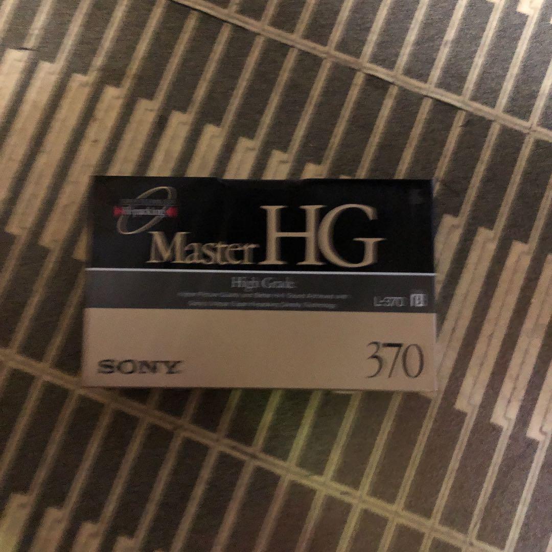 ペーターテープ　24本