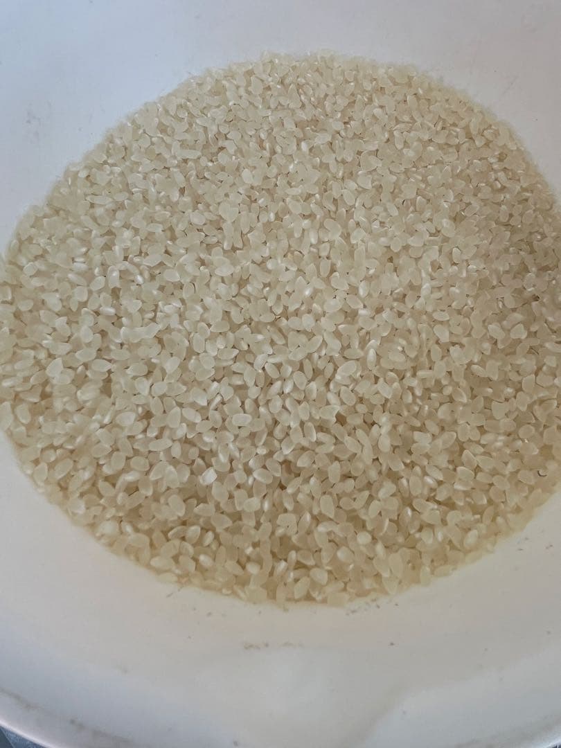 山梨県産 コシヒカリ 20kg 武川米　玄米　《限界価格ですのでお願いします》