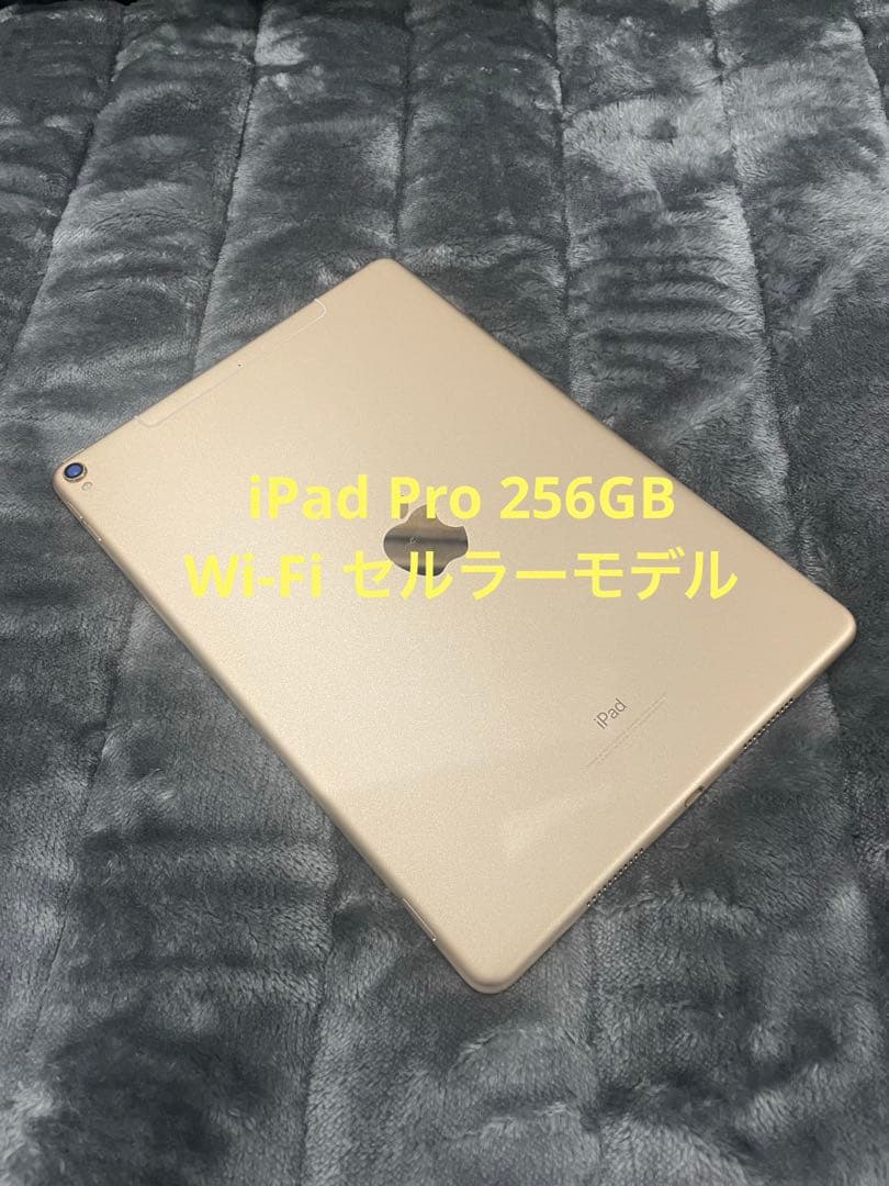 Apple iPad Pro 10.5インチ256GB 箱付き