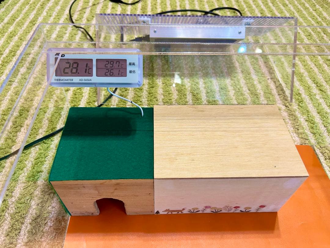 ヒョウモントカゲモドキ　レオパ　爬虫類　飼育ゲージ　一式