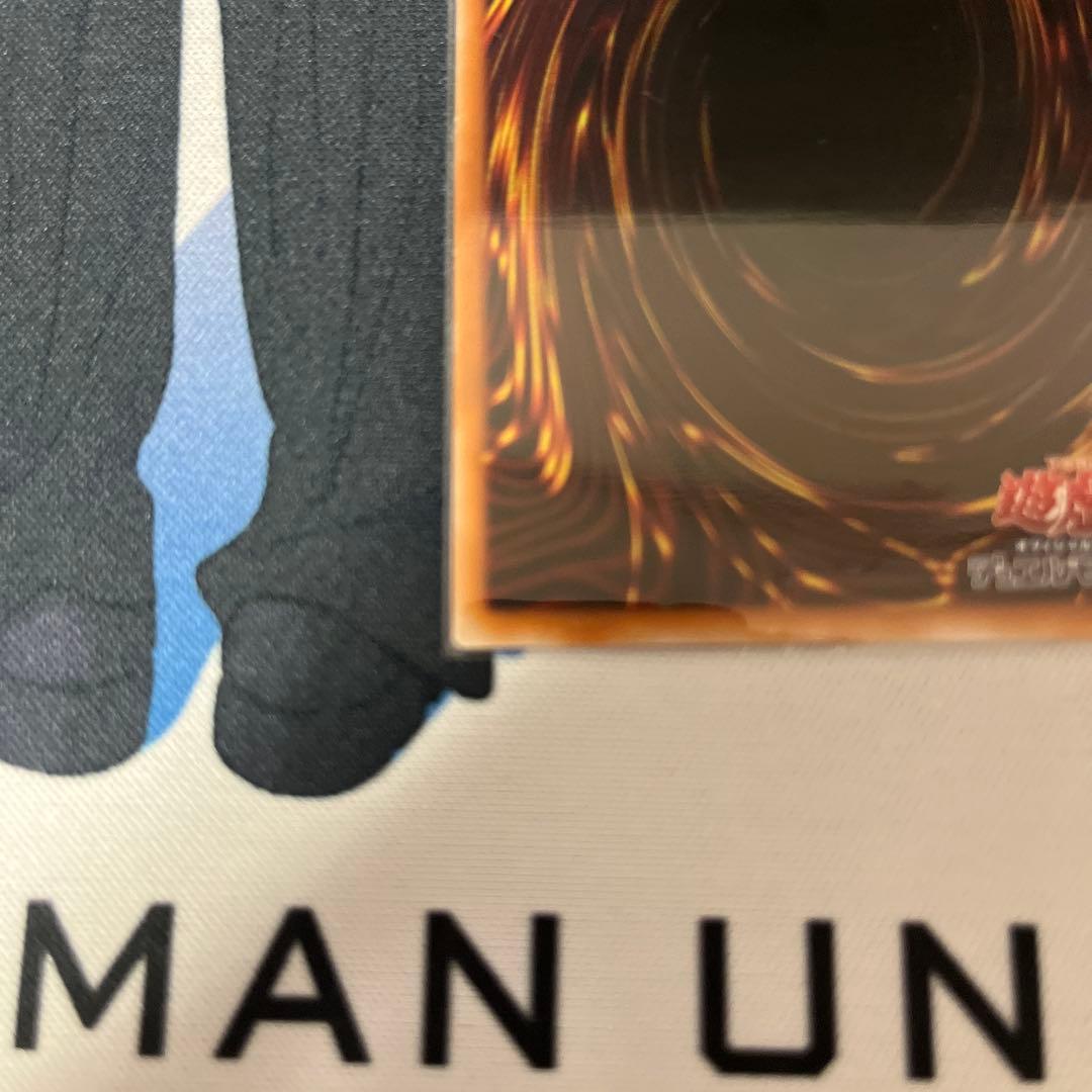 天羽々斬之巳剣 アメノハバキリノミツルギ　プリズマ