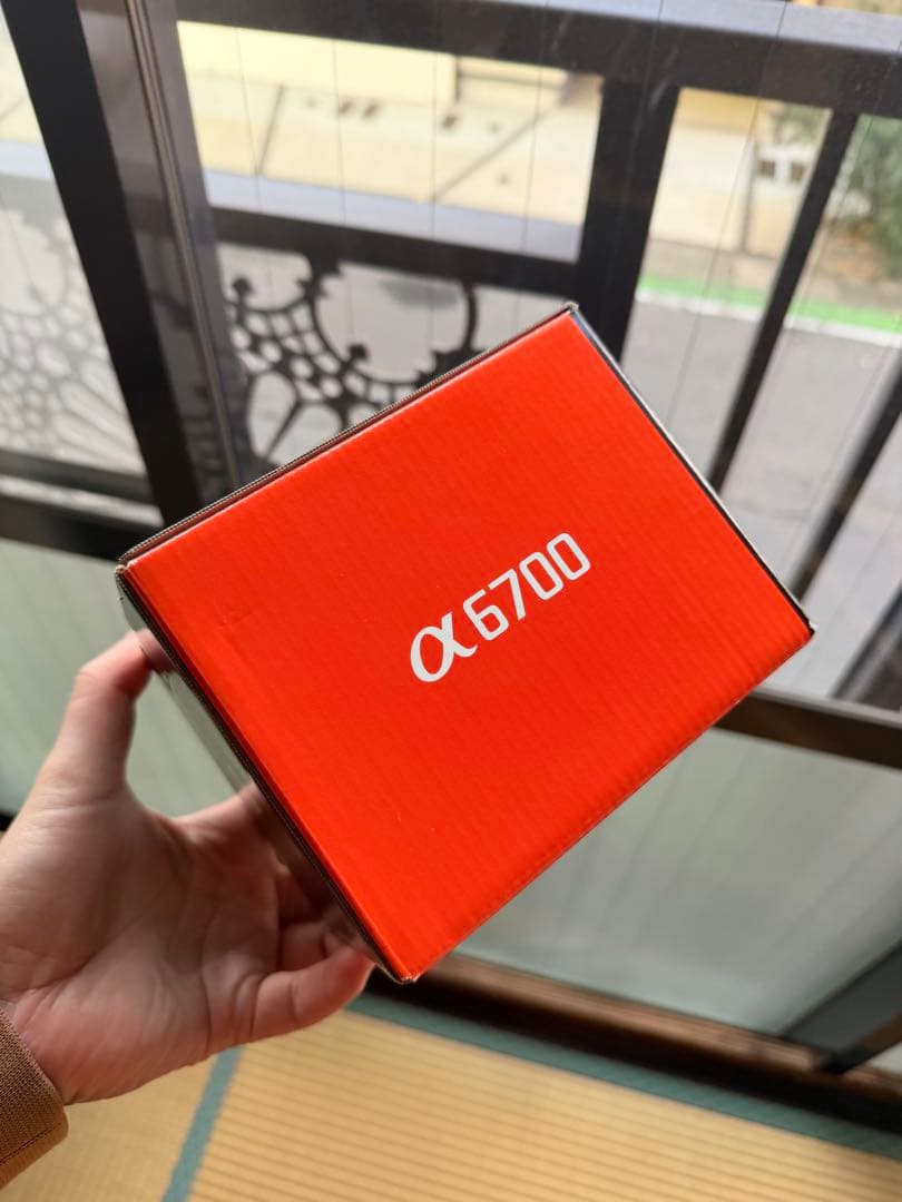 SONY α6700 美品 ENGLISHと日本語2025