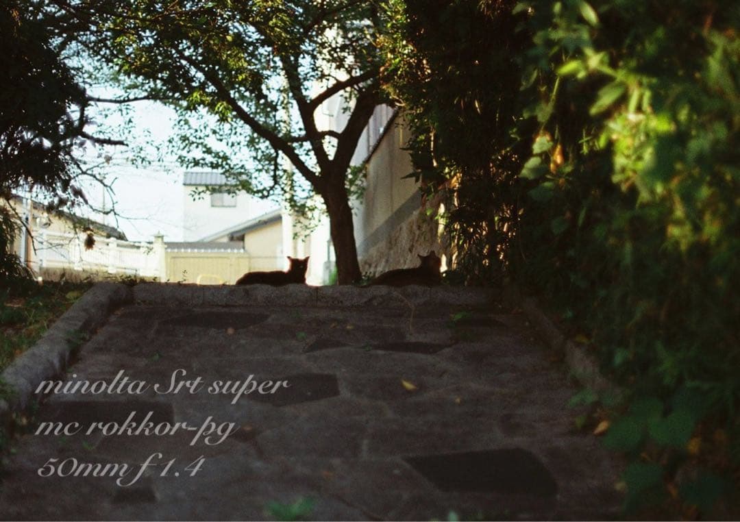 ★ミノルタ srt ★ロッコールf1.4★完動品＊美品＊初期保証★作例多数！