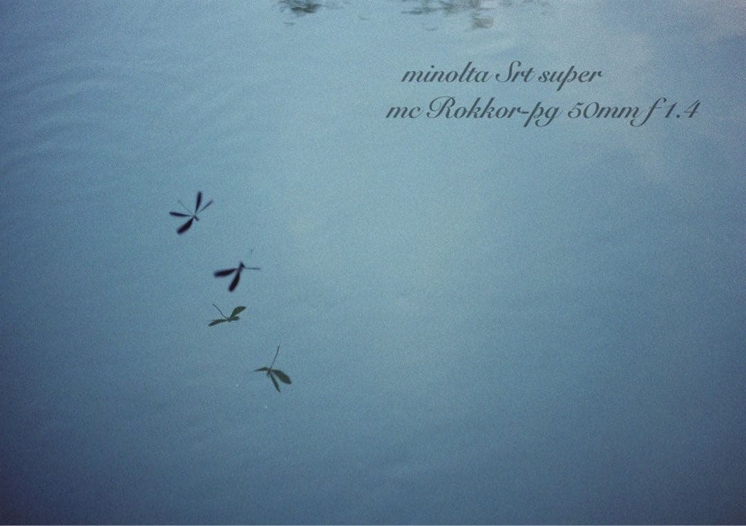 ★ミノルタ srt ★ロッコールf1.4★完動品＊美品＊初期保証★作例多数！
