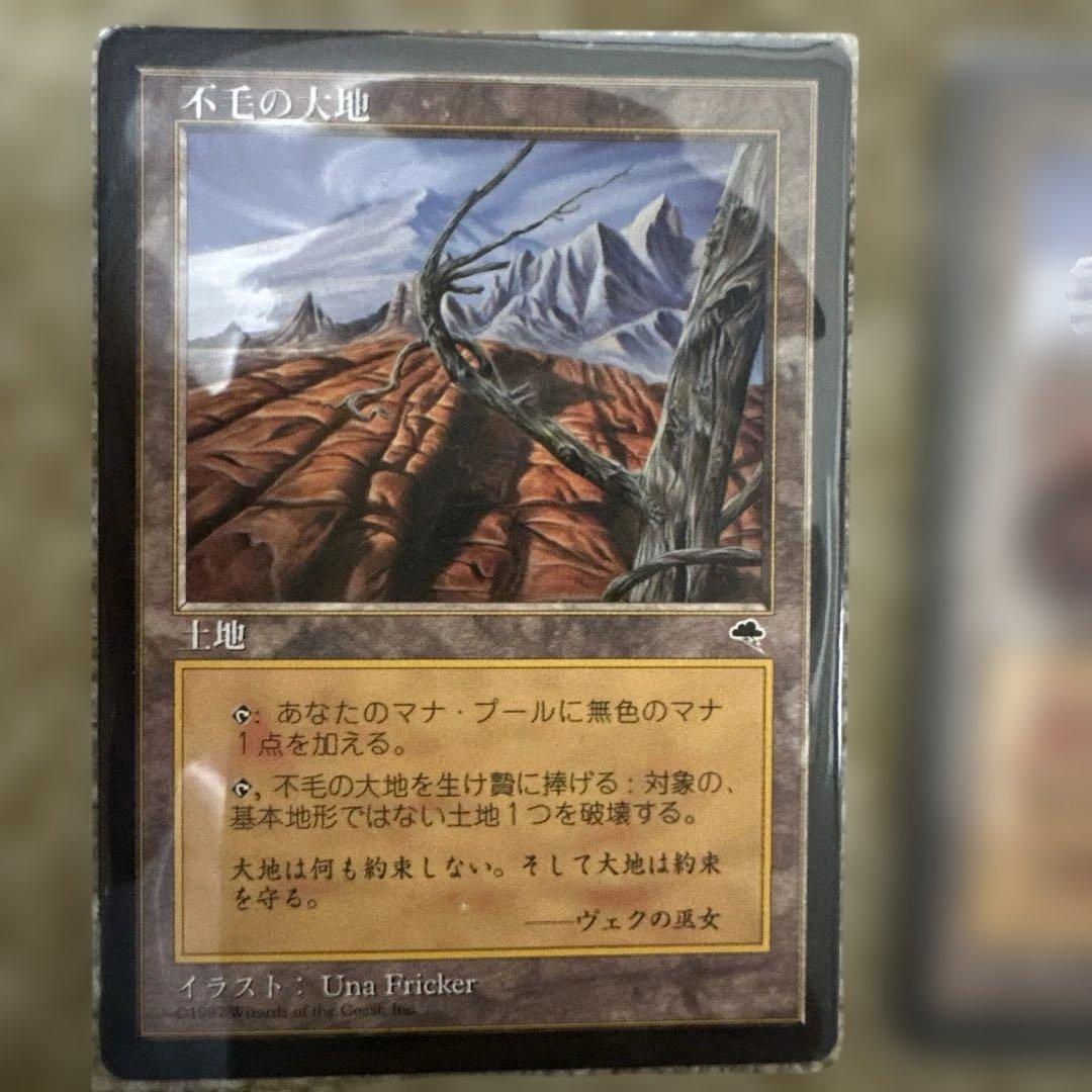 MTG 不毛の大地２枚セット