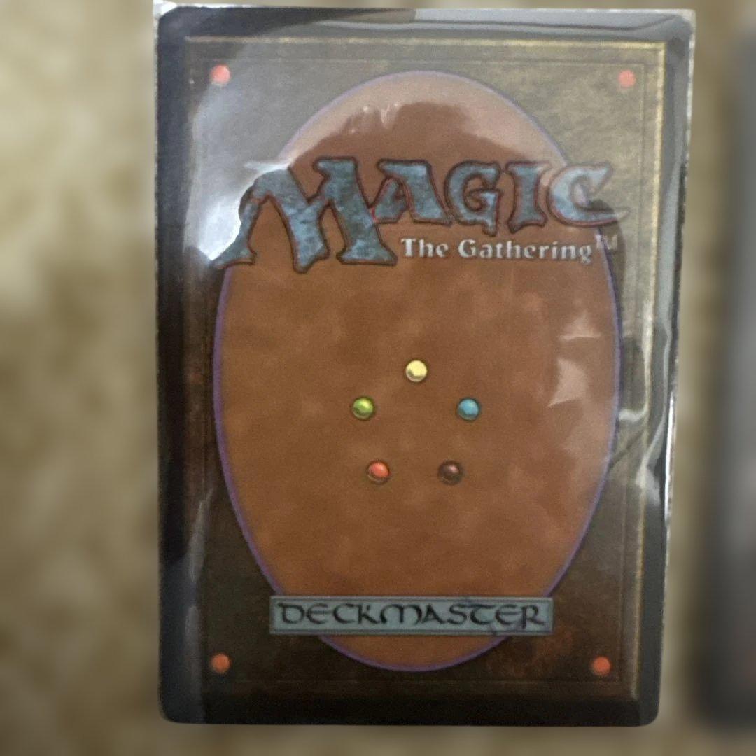 MTG 不毛の大地２枚セット