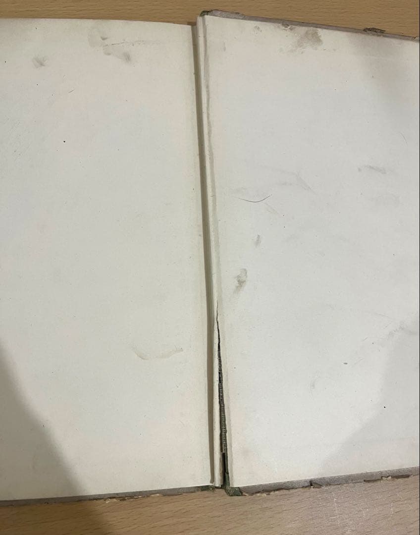 N o.355レア 超希少 アンティーク 洋書 絵本 ビクトリアン 児童書