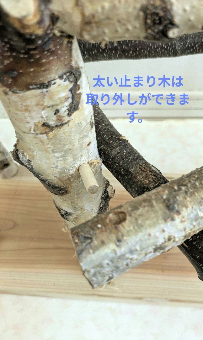 ♡nazu♡　バードアスレチック