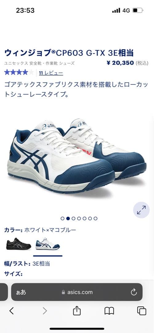 シューズ WINJOB CP603 G-TX