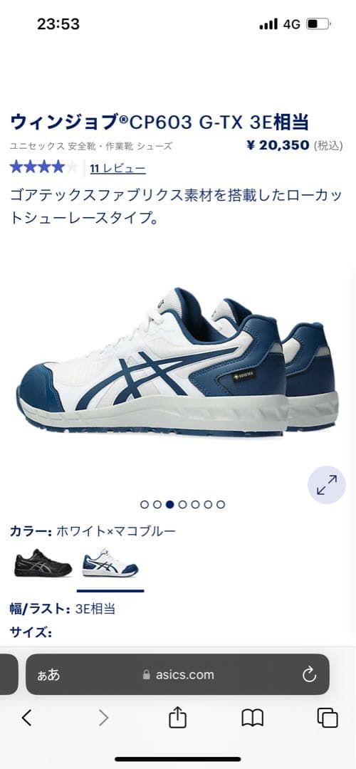 シューズ WINJOB CP603 G-TX