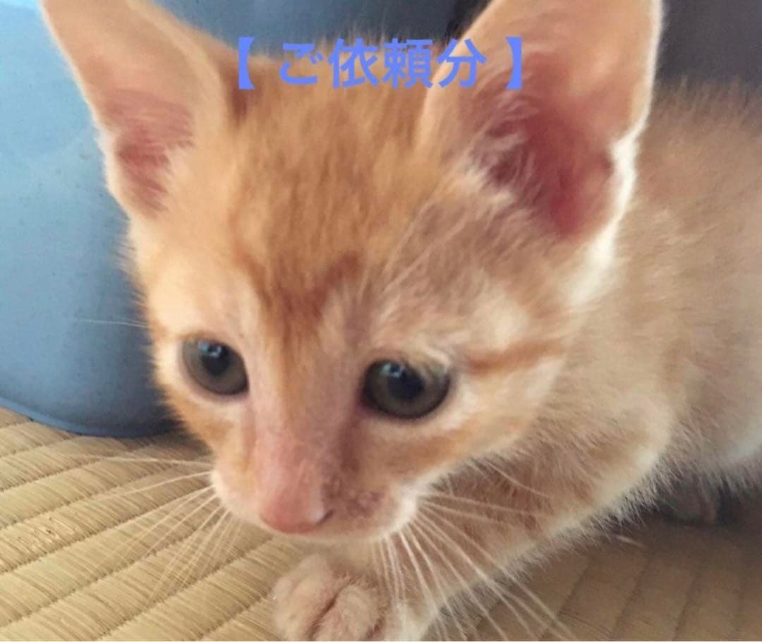 【 miu♡miu♡ 様 】ご依頼分