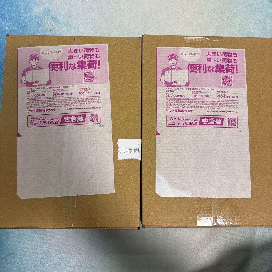 ポケモンカード MEGAドリームEX 2パック