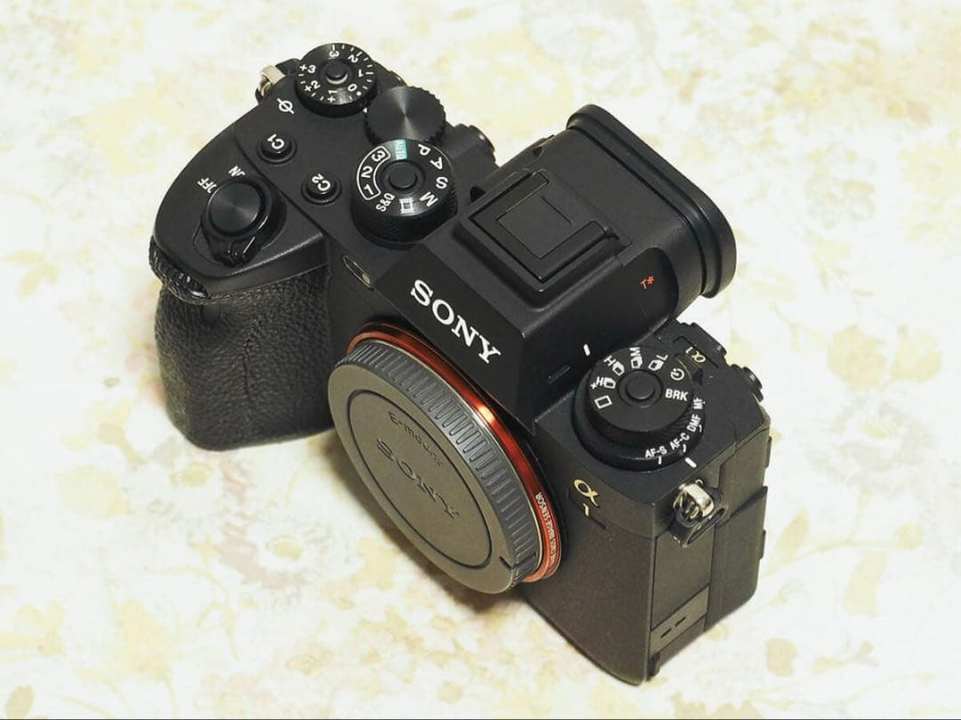 ソニーα1ボディ