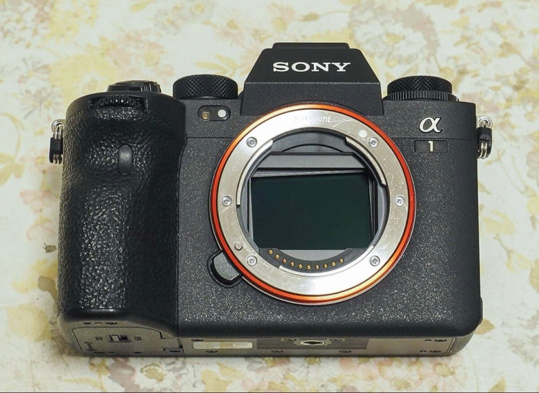 ソニーα1ボディ