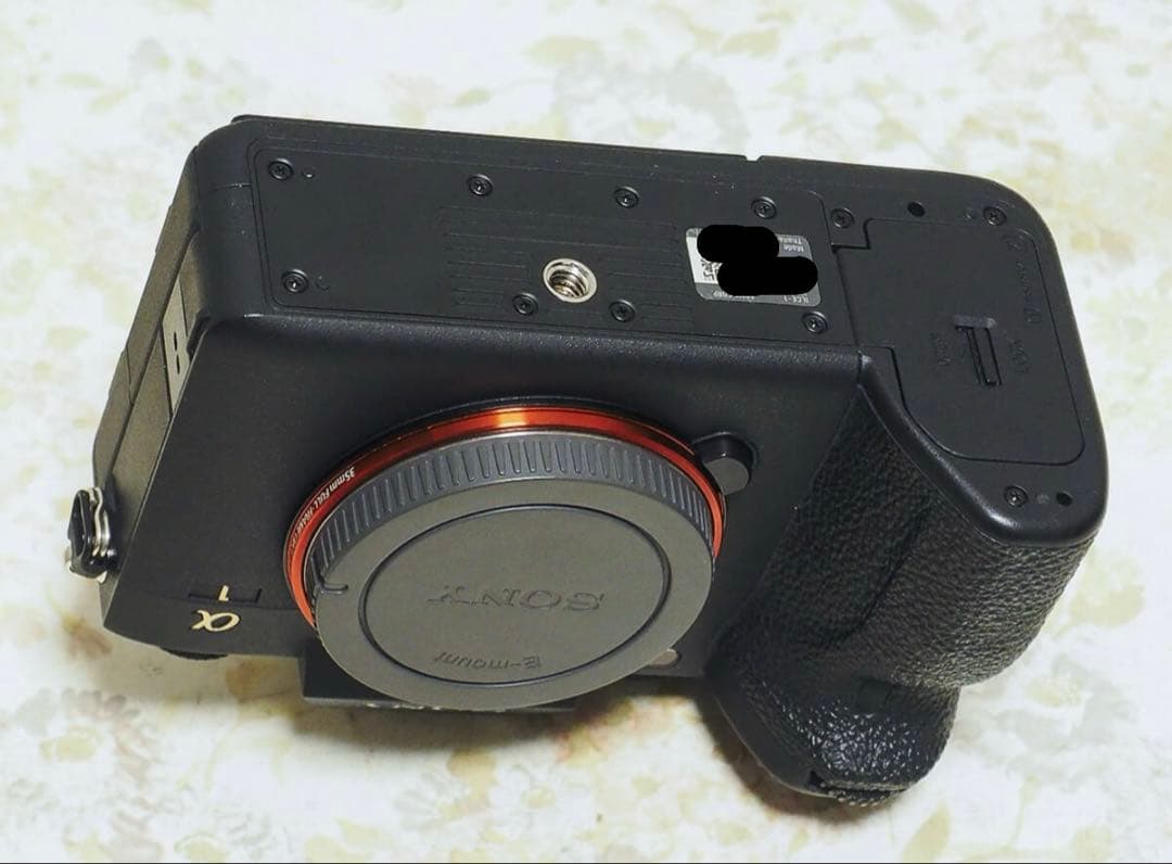 ソニーα1ボディ