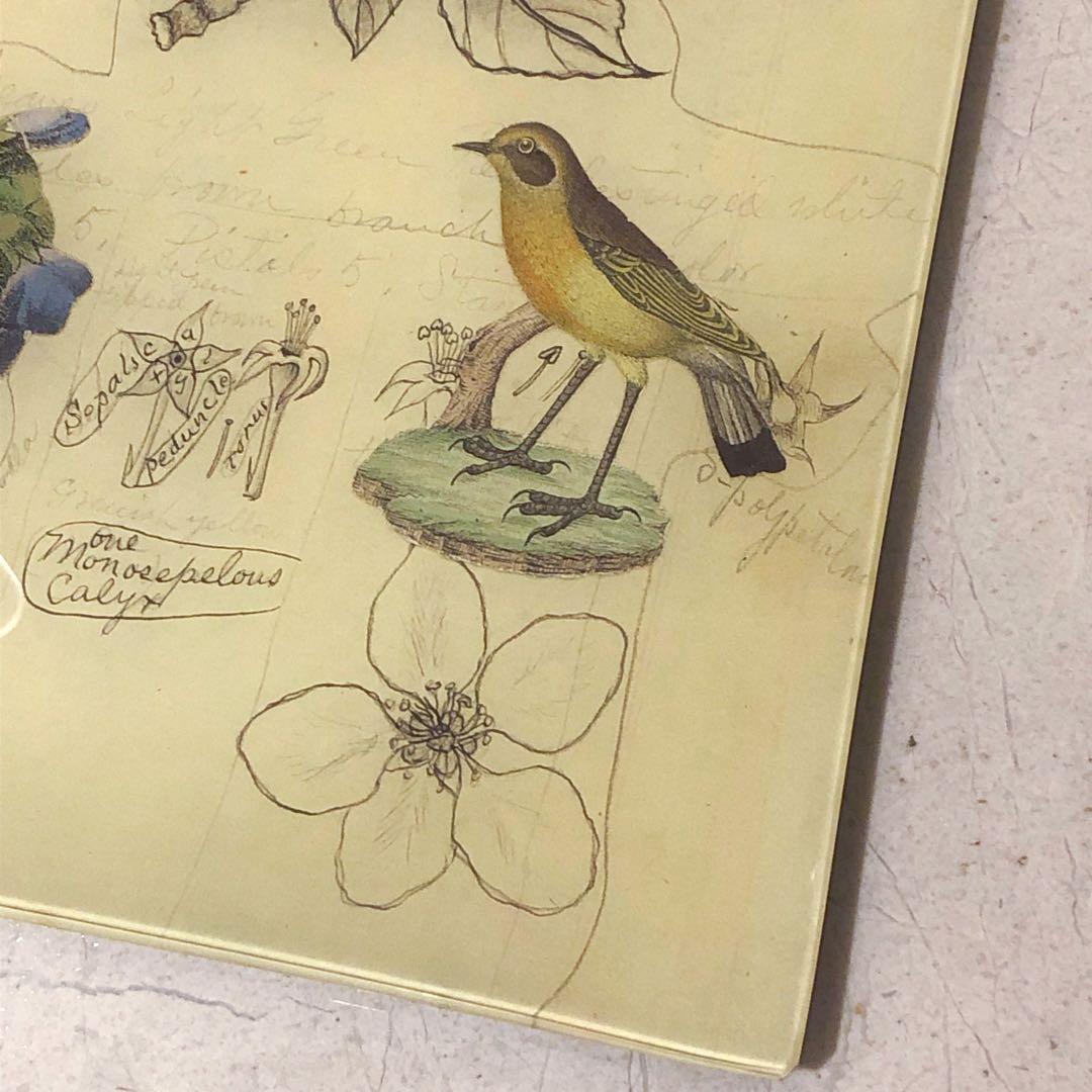 ラージサイズ　ジョンデリアン　デコパージュトレイ　フラワーバード