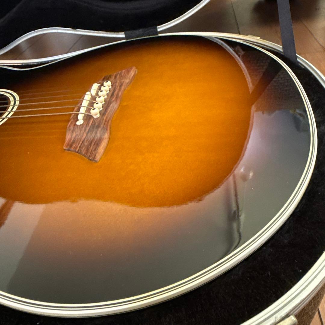 ギター Takamine DSP-110