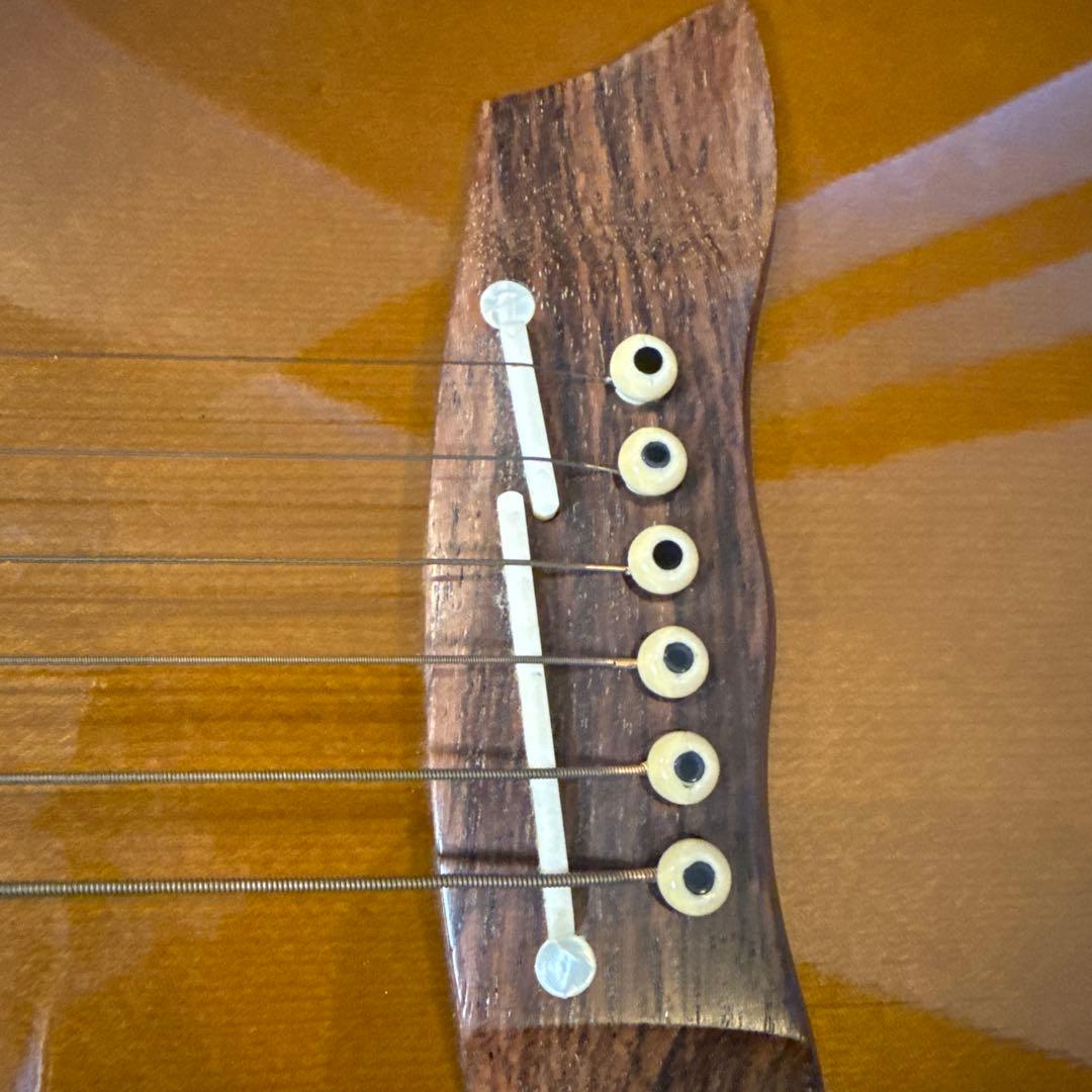 ギター Takamine DSP-110