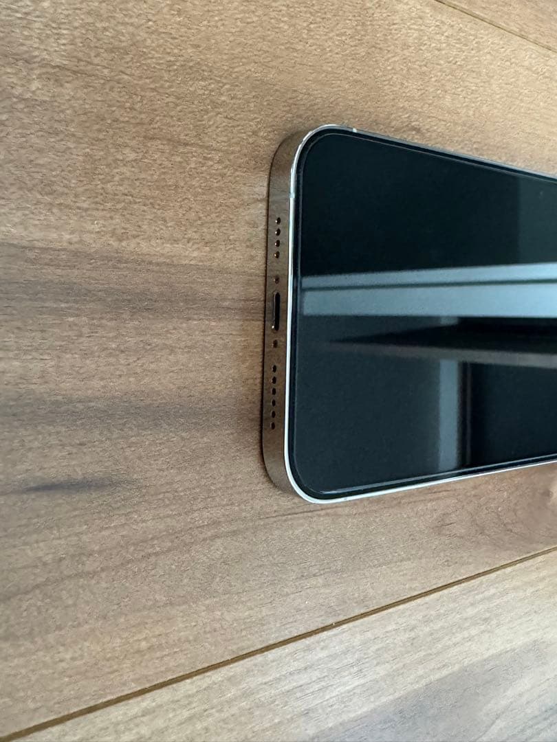 Apple iPhone 13 proMAX本体 シルバー