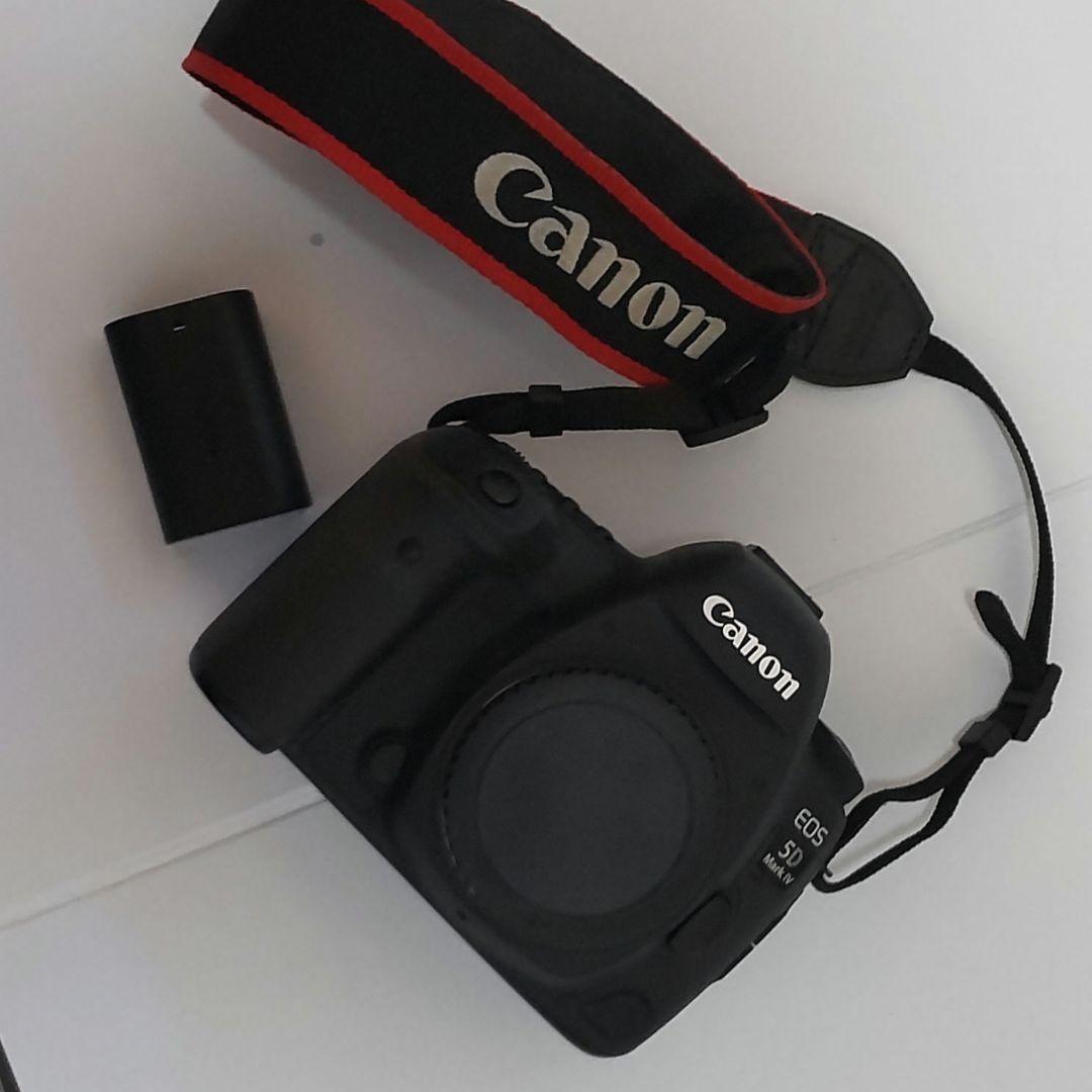 Canon EOS 5D Mark IV シャッター数 26479回