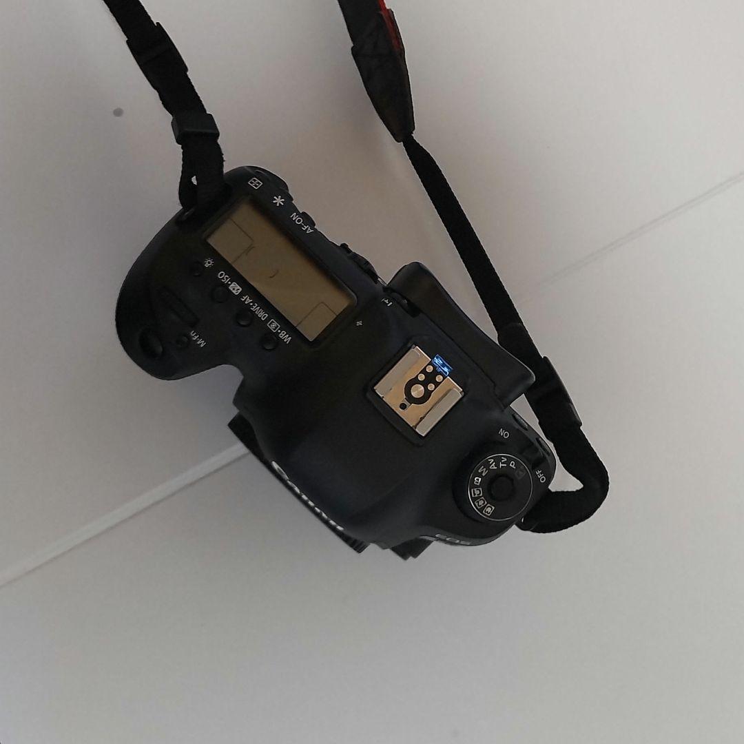 Canon EOS 5D Mark IV シャッター数 26479回